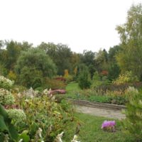 Krasnoe (2)