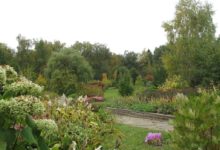 Красное