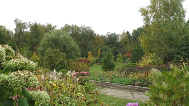 Красное
