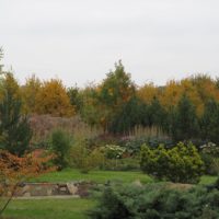 Krasnoe (3)