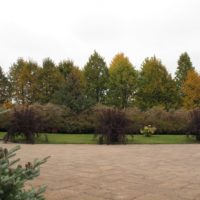 Krasnoe (5)