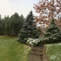 Krasnoe (6)
