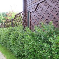 laplandiya (12)