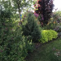 IMG_1996